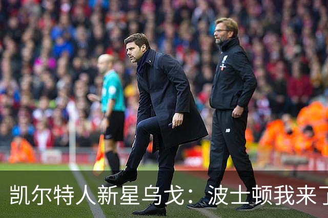 凯尔特人新星乌戈：波士顿我来了，欧洲的感觉真不错！
