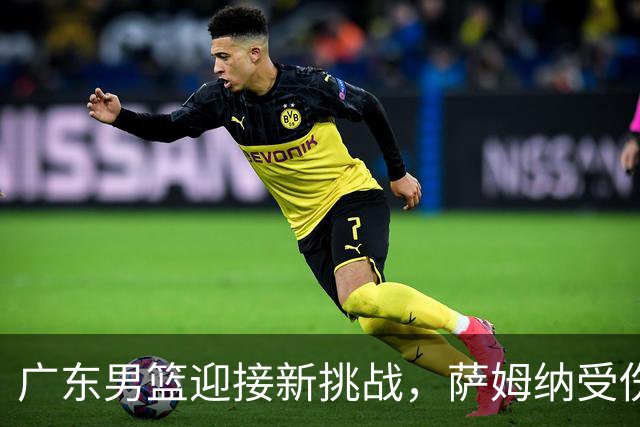 广东男篮迎接新挑战，萨姆纳受伤，洛夫顿助阵待命